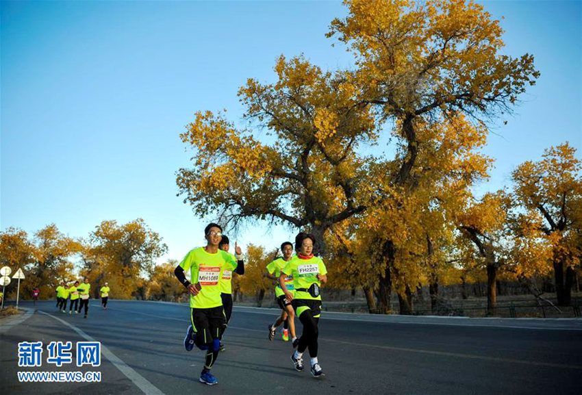 ???? ??? 2016 ???????, ???? ????