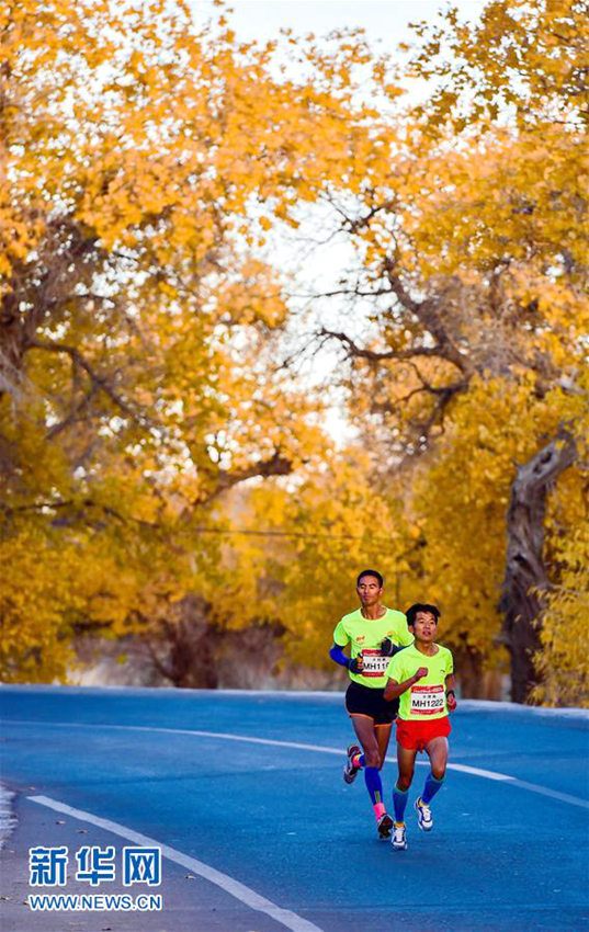 ???? ??? 2016 ???????, ???? ????