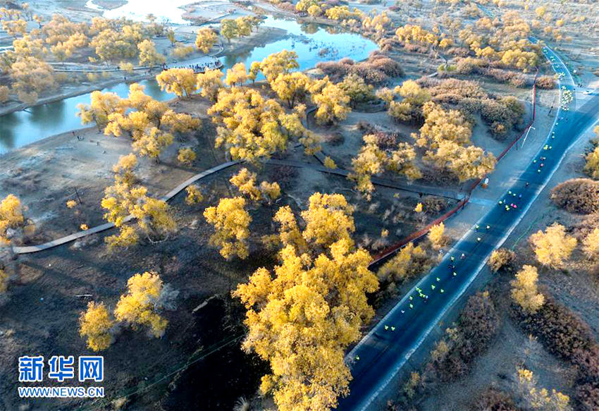 ???? ??? 2016 ???????, ???? ????