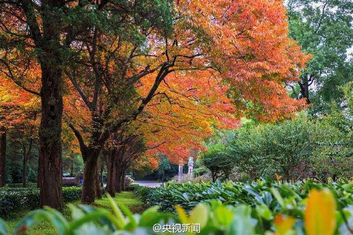 ‘?? ???? 600m’, ?? ??? ???? ?? ??