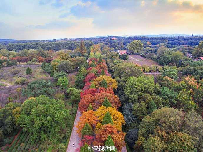 ‘?? ???? 600m’, ?? ??? ???? ?? ??