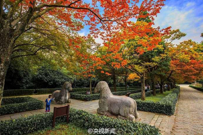 ‘?? ???? 600m’, ?? ??? ???? ?? ??