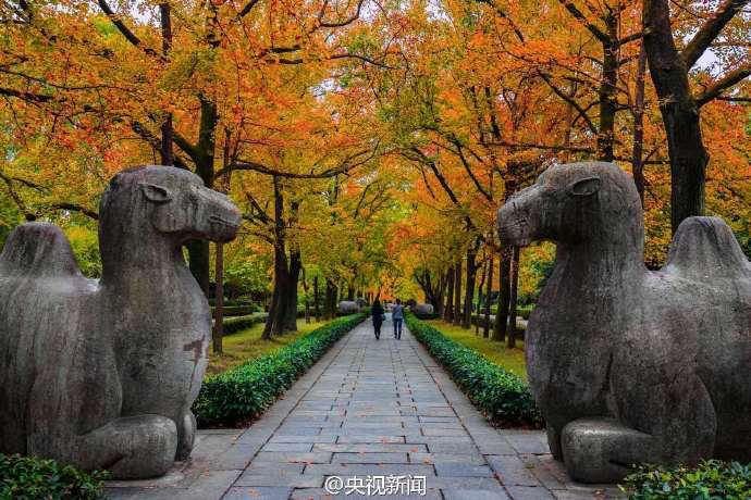 ‘?? ???? 600m’, ?? ??? ???? ?? ??