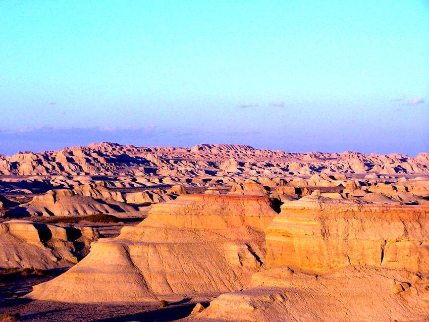 ?? ?? ?? ‘???’, ??? ?? ??