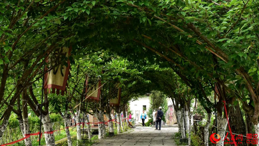 中 ?? ?? ???? ??? ???… ?? ?????