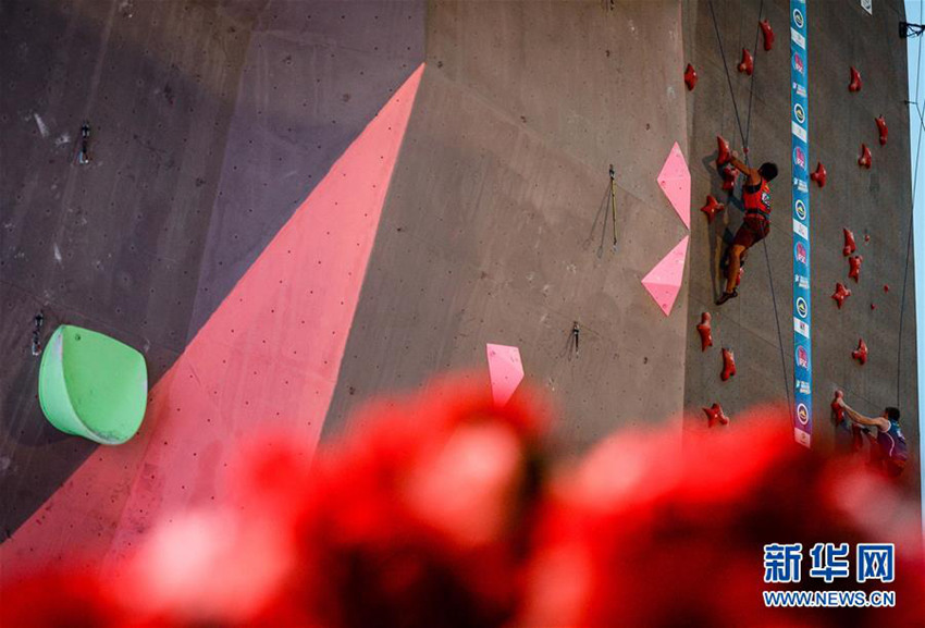 2016 ???? ??? ??, ?? ??? 中 ??? ??