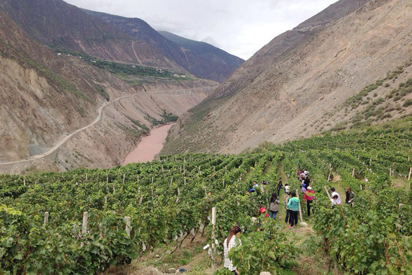 ?? ????, ‘??? ??’ ???? ??