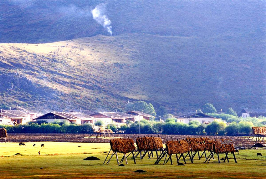 ?? ????, ‘??? ??’ ???? ??