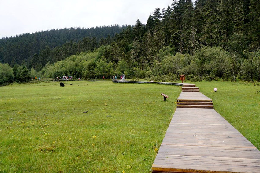 ?? ????, ‘??? ??’ ???? ??