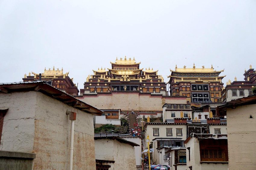 ?? ????, ‘??? ??’ ???? ??