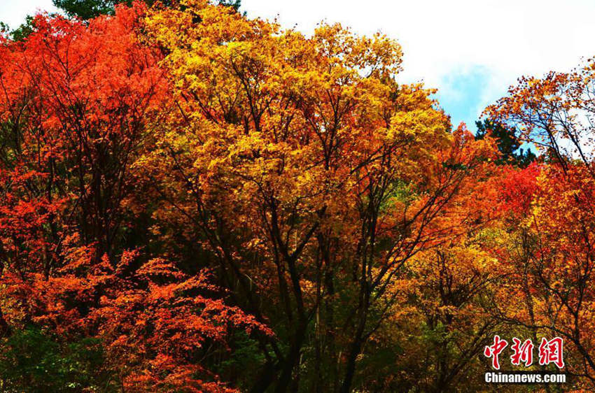 ?? ???? ??? ?? ??, ????? ???? ??