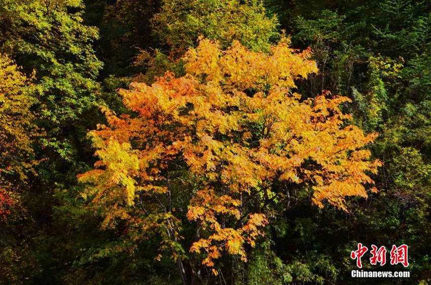 ?? ???? ??? ?? ??, ????? ???? ??