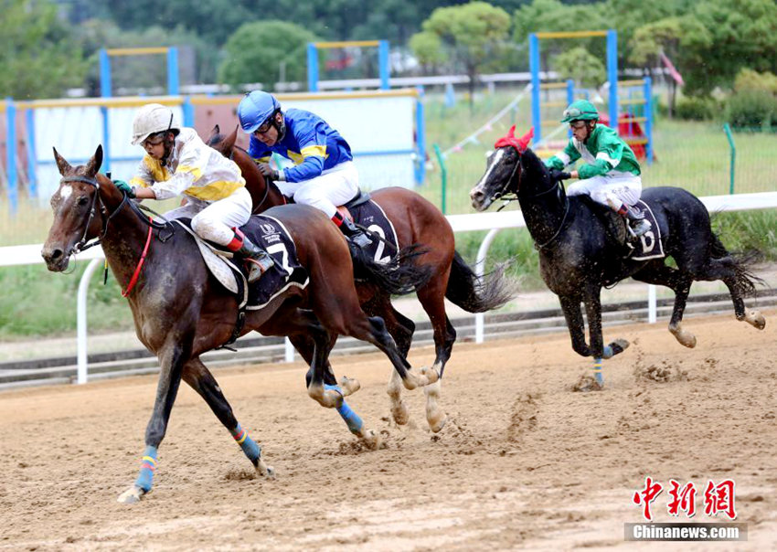 2016? ?? ?? ????? ??