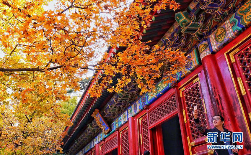 ???? ???: ???? ?? ??, ?? ??? 3?