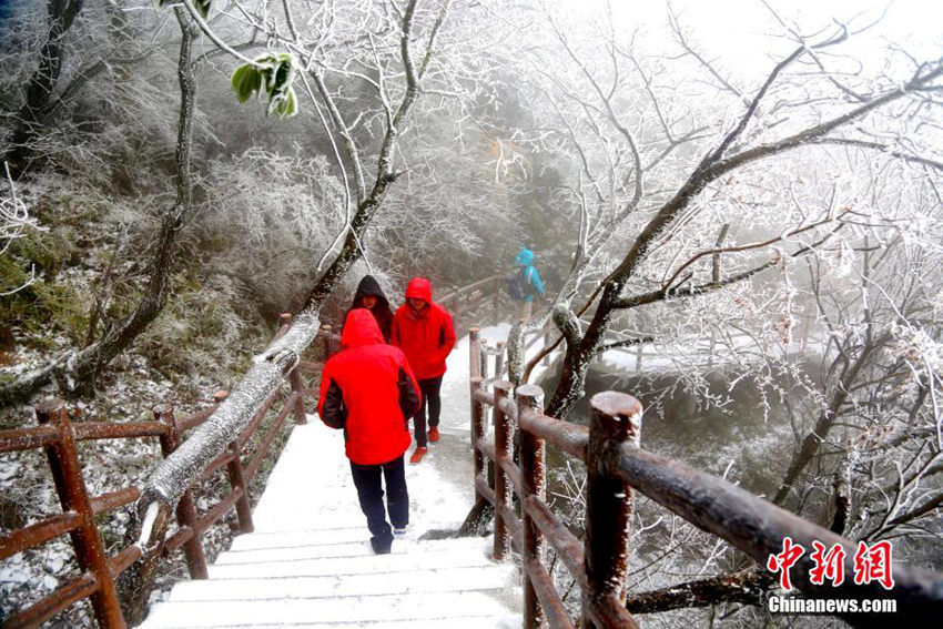 ?? ????, ??? ?? ???? ??