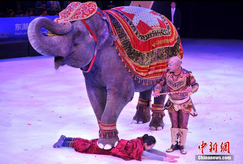 ?? ????(吳橋) ???? ‘??(馴象)’