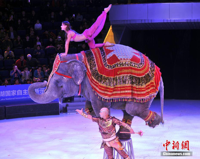 ?? ???????? ??, 13?? ??? ?? ????