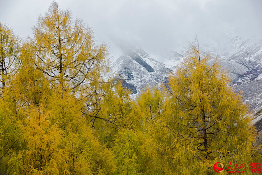 中 ?? ??, ??? ??? ????? ??? ???!