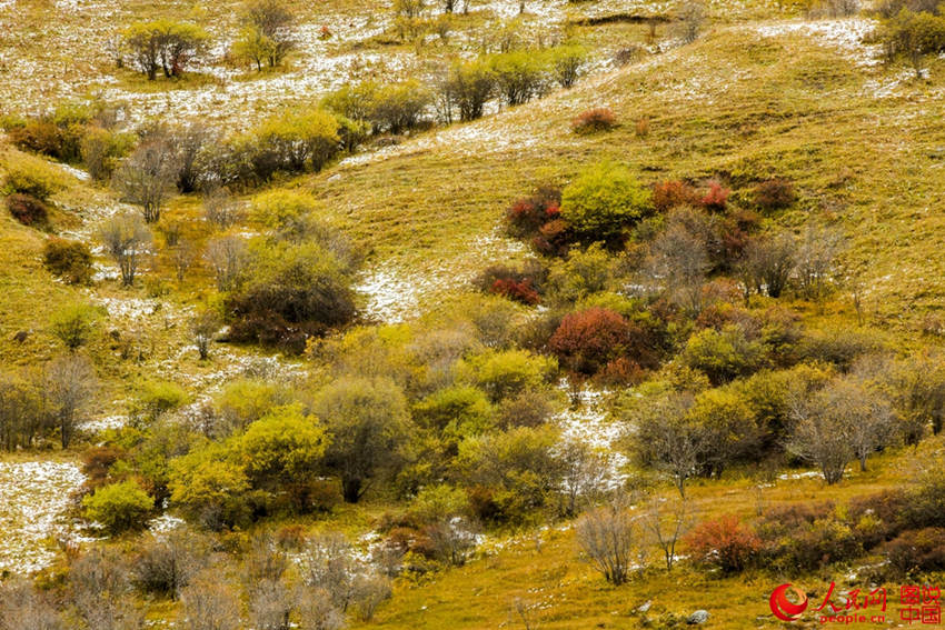 中 ?? ??, ??? ??? ????? ??? ???!