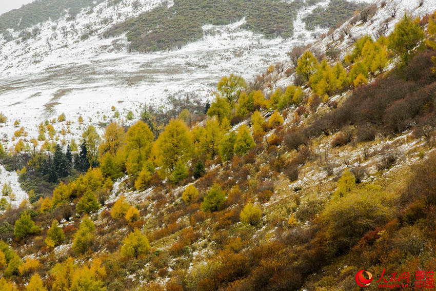 中 ?? ??, ??? ??? ????? ??? ???!