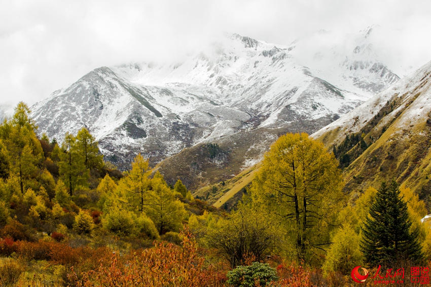 中 ?? ??, ??? ??? ????? ??? ???!