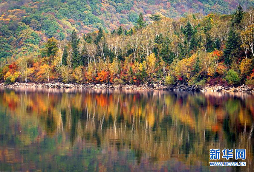 ??(吉林)? ??(安圖)? ??(兩江)?? ??? ? ????? ?? ??