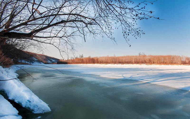 ???? ??, ?? ???? ?? ??? ??