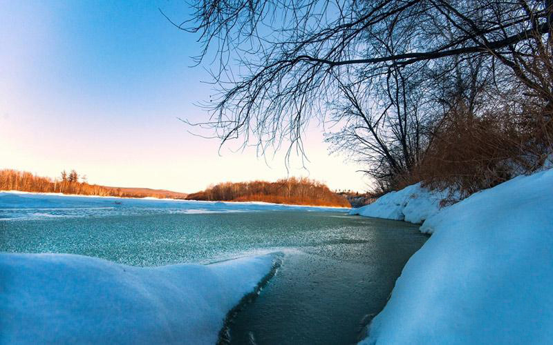 ???? ??, ?? ???? ?? ??? ??