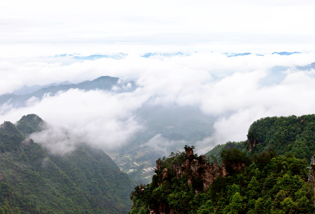 ?? ??? ???, ???? ‘?? ??’ ???