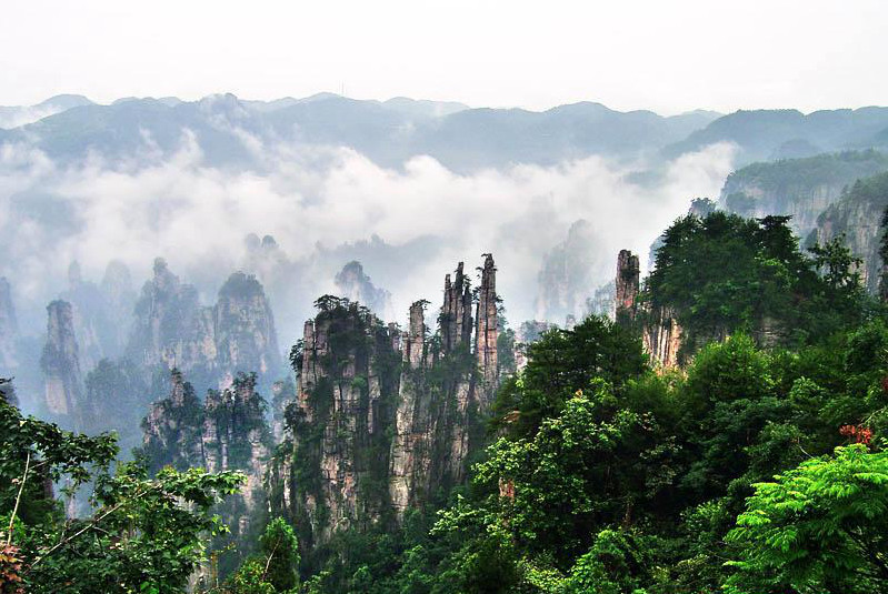 ?? ??? ???, ???? ‘?? ??’ ???