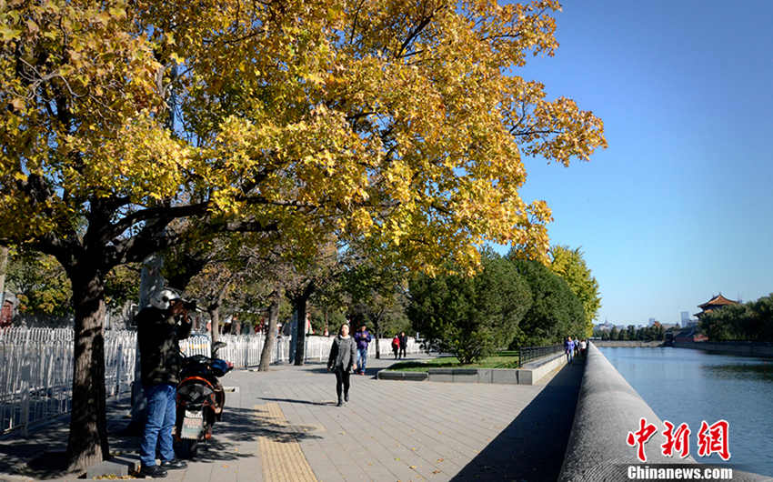 ? ??? ?? ????! ???? ?? ?? ?? ??