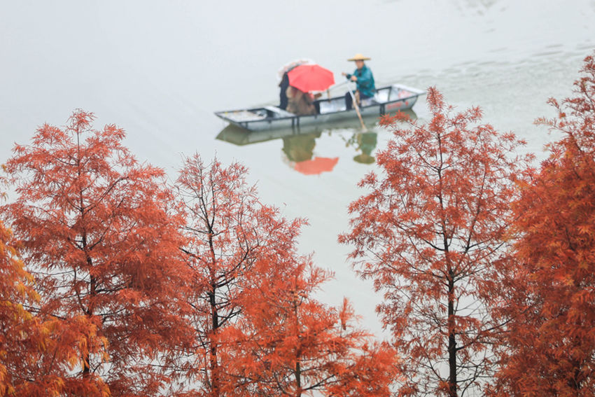 ?? ??? ????, ?? ?? ??? ?? ???? ??