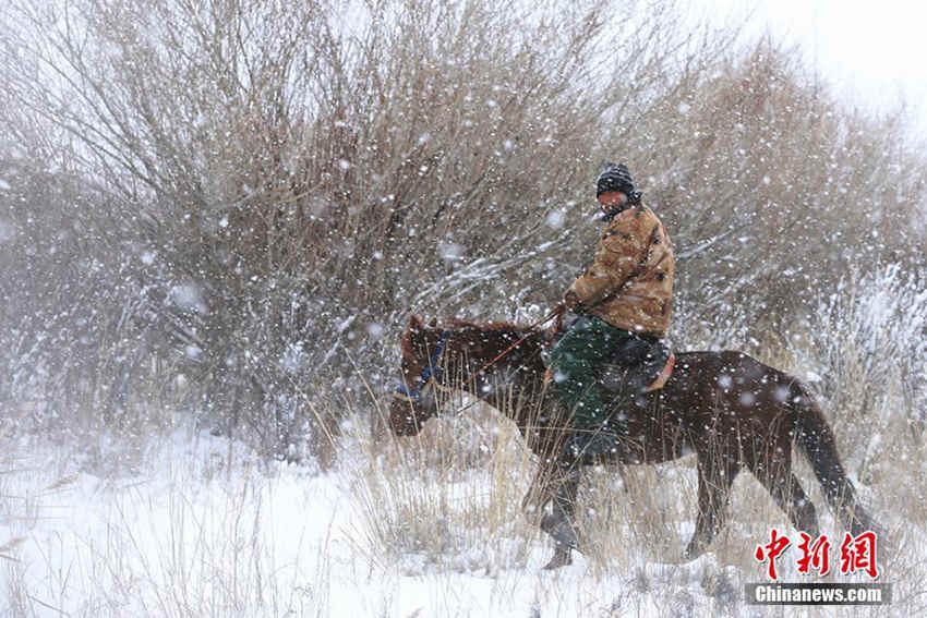 ??? ?? ?????? ?? ??, ??? ????!