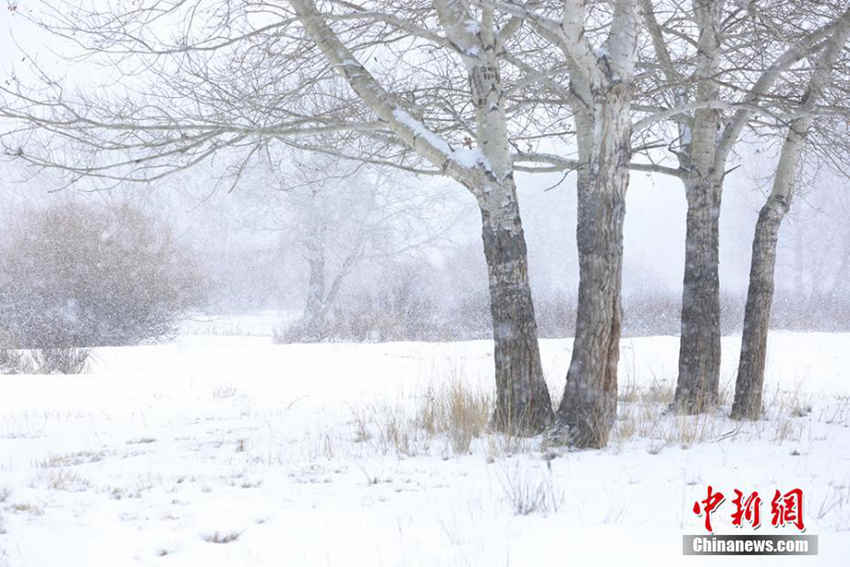 ??? ?? ?????? ?? ??, ??? ????!