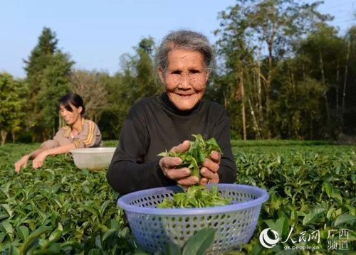 114? ???(胡月英) ??? ?? ?? ??