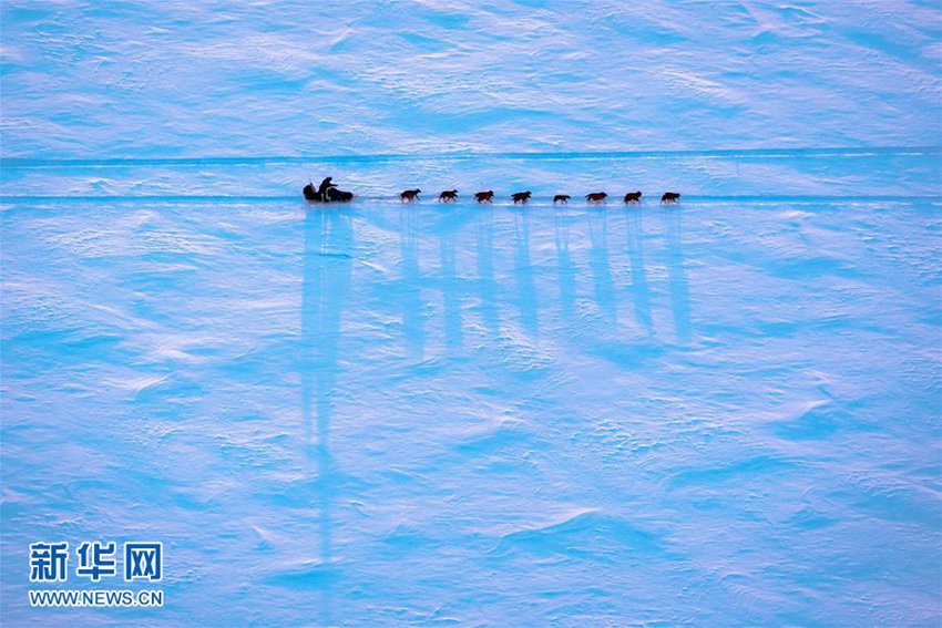 ?? ??? ???? ???? ?? ??? ???