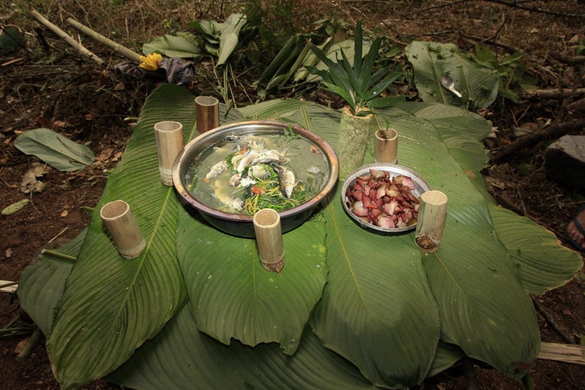 [???? ??] ????? ‘???? ??? ?’