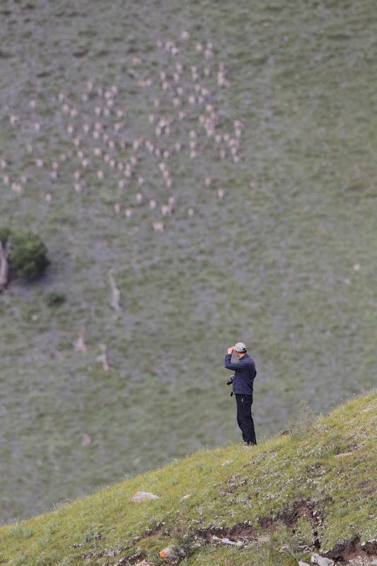 [???? ??] ????? ‘???? ??? ?’