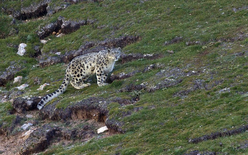 [???? ??] ????? ‘???? ??? ?’