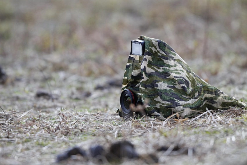 [???? ??] ????? ‘???? ??? ?’