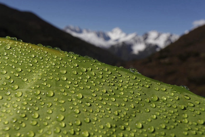 [???? ??] ????? ‘???? ??? ?’