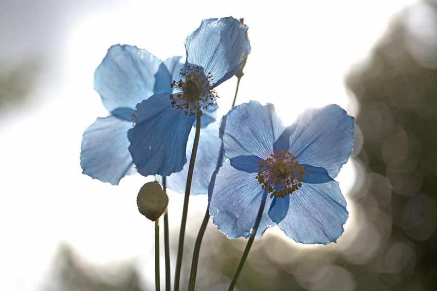 [???? ??] ????? ‘???? ??? ?’