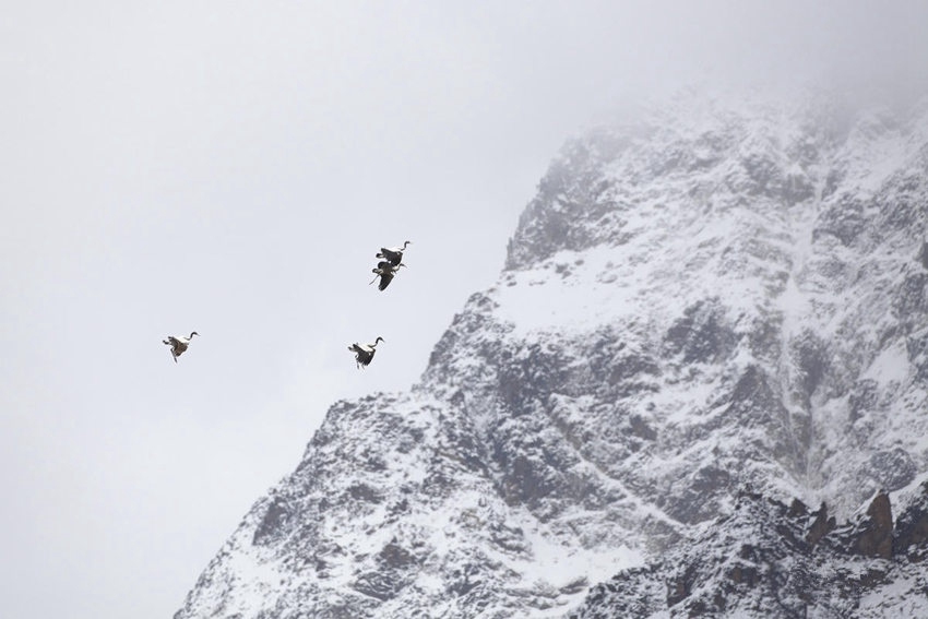 [???? ??] ????? ‘???? ??? ?’