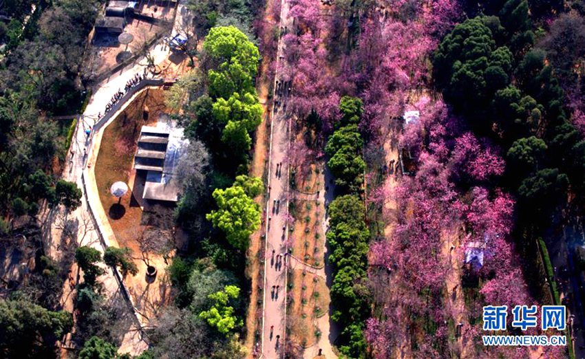 ?? ??? ??? ?, 1? ?? ?? ?? ?? ??? ???