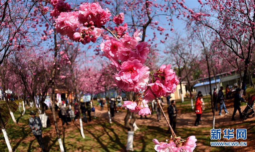 ?? ??? ??? ?, 1? ?? ?? ?? ?? ??? ???