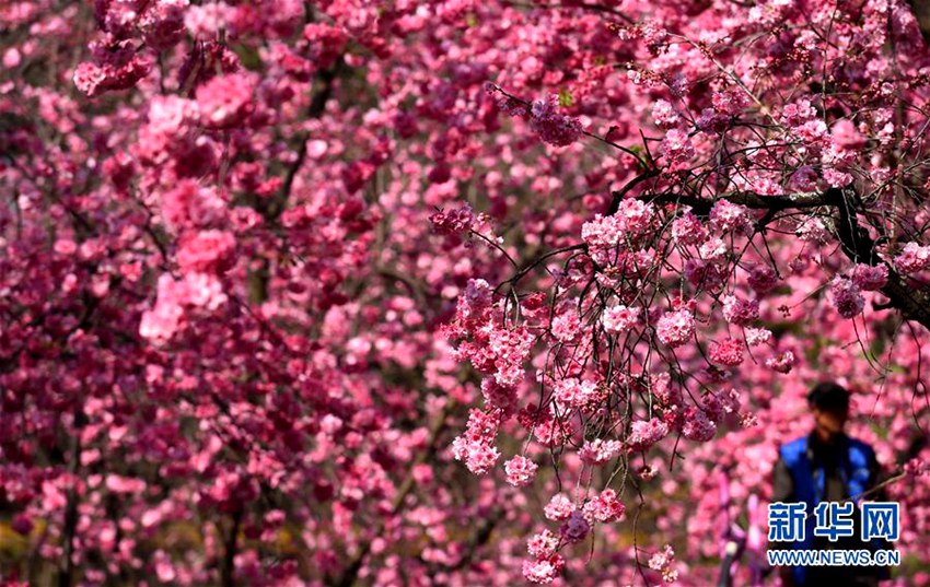 ?? ??? ??? ?, 1? ?? ?? ?? ?? ??? ???