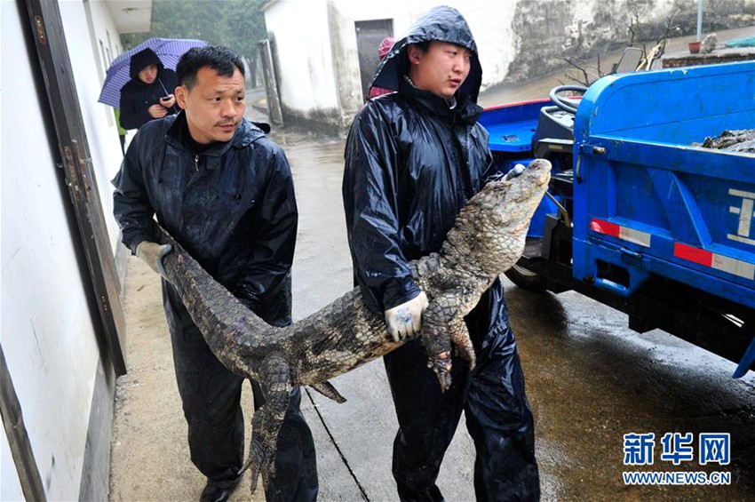 中 ‘?? ??’? ??? ‘???’, ??? ?? ?? ??? ???