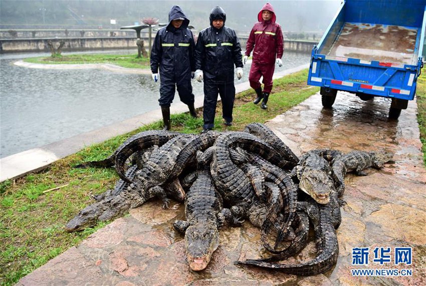 中 ‘?? ??’? ??? ‘???’, ??? ?? ?? ??? ???