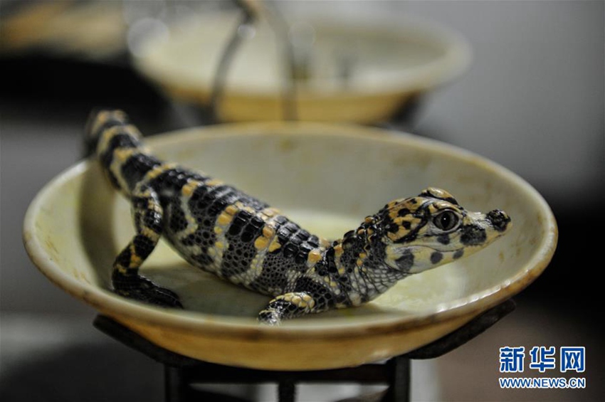 中 ‘?? ??’? ??? ‘???’, ??? ?? ?? ??? ???