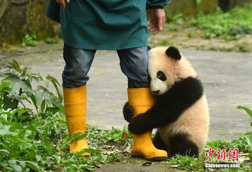 ?? ???? ?? ???, ?? ???? ?????!